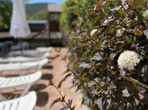 Гостевой дом Платан