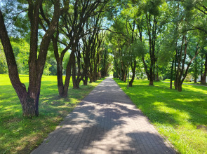 Апартаменты HANSE