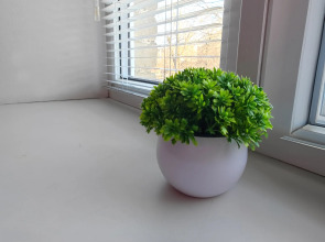 Квартира 1-кoмнaтная в Центрe Гоpода