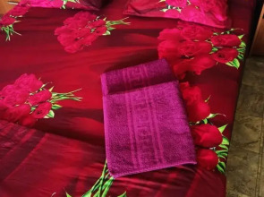 Квартира на Багаева 25/1