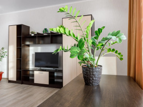 Апартаменты 1-комнатные