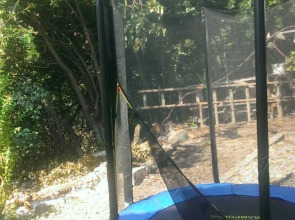 Гостевой дом Семейный