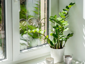 Квартира Студия Welcome на Петроградке 4