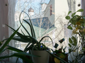 Апартаменты Большие красивые апартаменты напротив Кремля