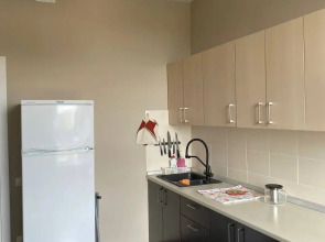 Квартира Инно-1