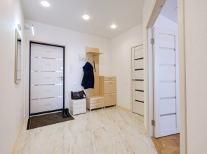 Апартаменты Петровские на Советской 90 (6)