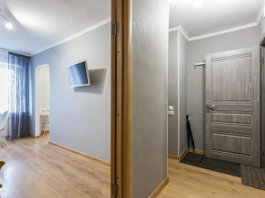 Апартаменты Трёхкомнатные Центр, Ленинский 29, Колибри#29