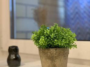 Апартаменты Завидово. Свежий воздух