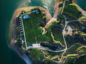 Персиковый Остров