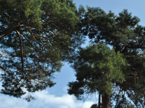 Гостевой дом На Взморье