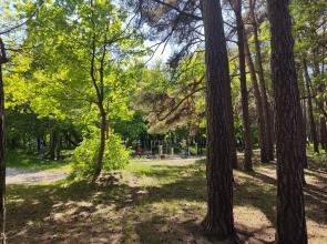 Апартаменты Greenwill 1