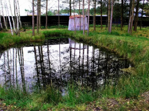 Гостевой дом ЭкоДом76