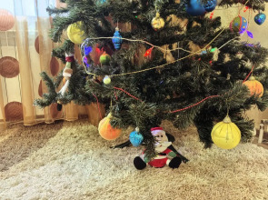 Волшебный отдых в 3-комнатной квартире: зимняя сказка в сосновом бору Великого Устюга