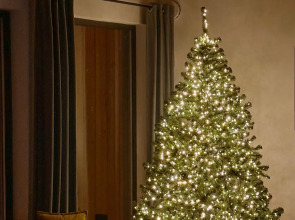 Частный дом Гостевой Панорама