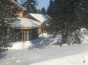 Гостевой Дом Ski Park