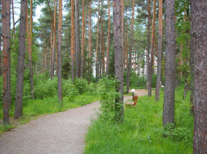 Апарт-отель Яхонтовый Лес