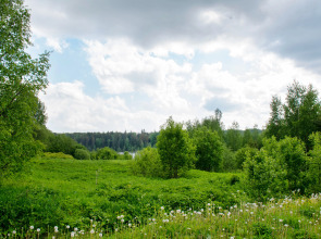 Коттедж Новгородская Деревня
