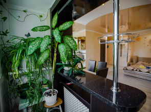 Апартаменты Сияние