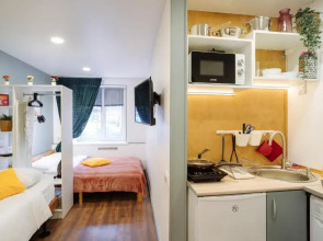 Апартаменты «9 ночей» в центре Петрозаводска, Шотмана 3 №1