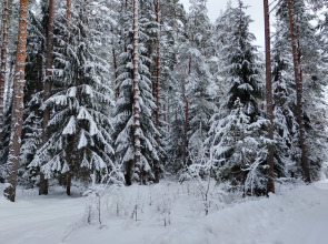 Частный дом Новый 6 местный дом у озера с банным чаном и баней.