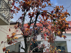 Гостевой дом Водолей