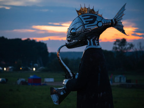 Отель Арт-кэмп Дикая Мята