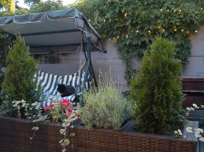 Гостевой дом Листья Травы