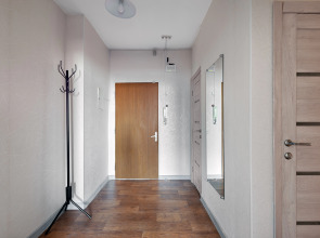 Апартаменты Tretyakow Apart 58/2