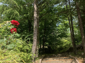 Пансионат Химик