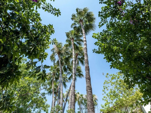 Отель Riverside Garden resort