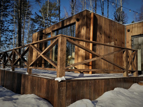 Снежные Гуси в Байкальске