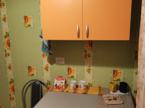 Квартира в центре Выборга