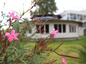 Отель Анакопия Club