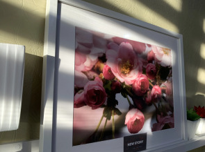 Апартаменты NewStory