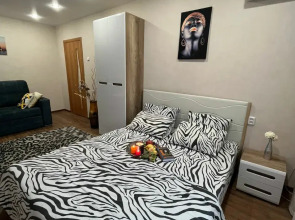 Апартаменты 1-комнатные с видом на Волгу (Бухта)