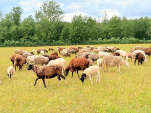 База отдыха  Ранчо