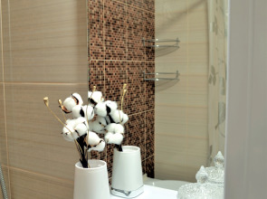 Квартира однокомнатная В гостях у Петербурженки Янино