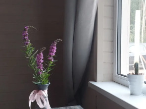 Эко Апартаменты с Внутренним Двориком