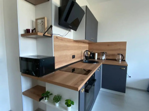 Апартаменты Место силы в Солнечном Городе