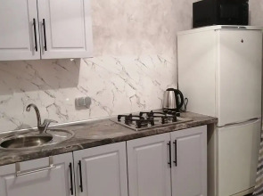 Апартаменты на Толстого 4