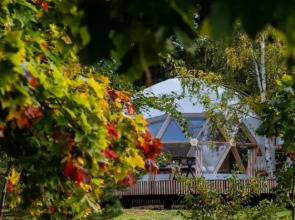 Глэмпинг Выборг Бэй