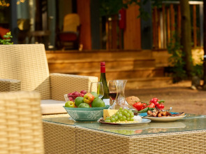 Частный дом Большая Репинская дача в лесу