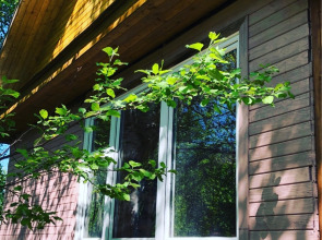 База Отдыха Constanta