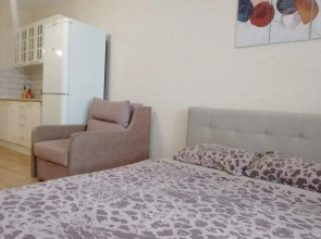 Квартира Студия Большая Подгорная 87