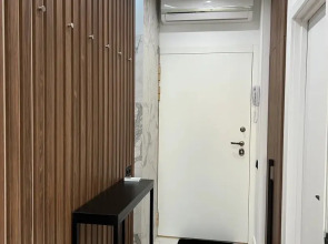 ДзенХоум Отражение 709