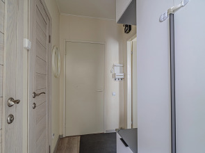 Квартира Однокомнатная в центре Санкт - Петербурга