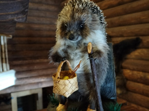 Гостевой дом Мышкин двор Барабановъ