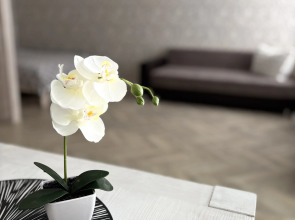 Апартаменты на Папанина 3