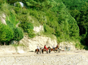 База отдыха Золотая бухта