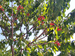 Мини-Отель Добрый Бобр